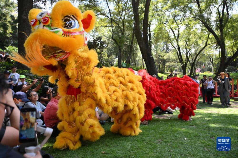 新皇冠注册